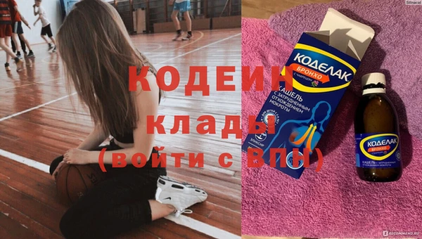 прущий лед Богданович