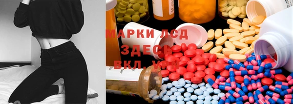 трава Богородицк