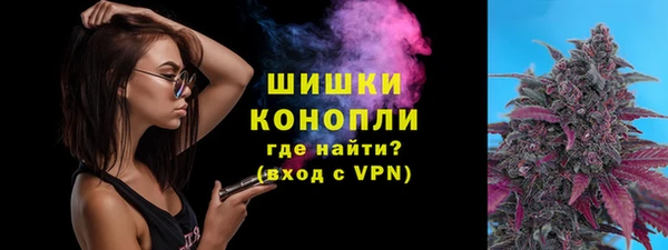 прущий лед Богданович