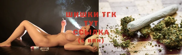 прущий лед Богданович