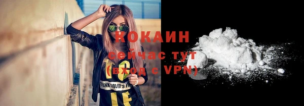 трава Богородицк
