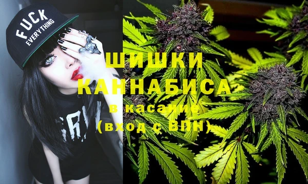 прущий лед Богданович