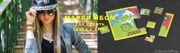 прущий лед Богданович